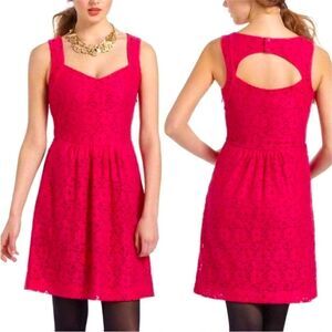 Deletta Silverfield lace Aline dress